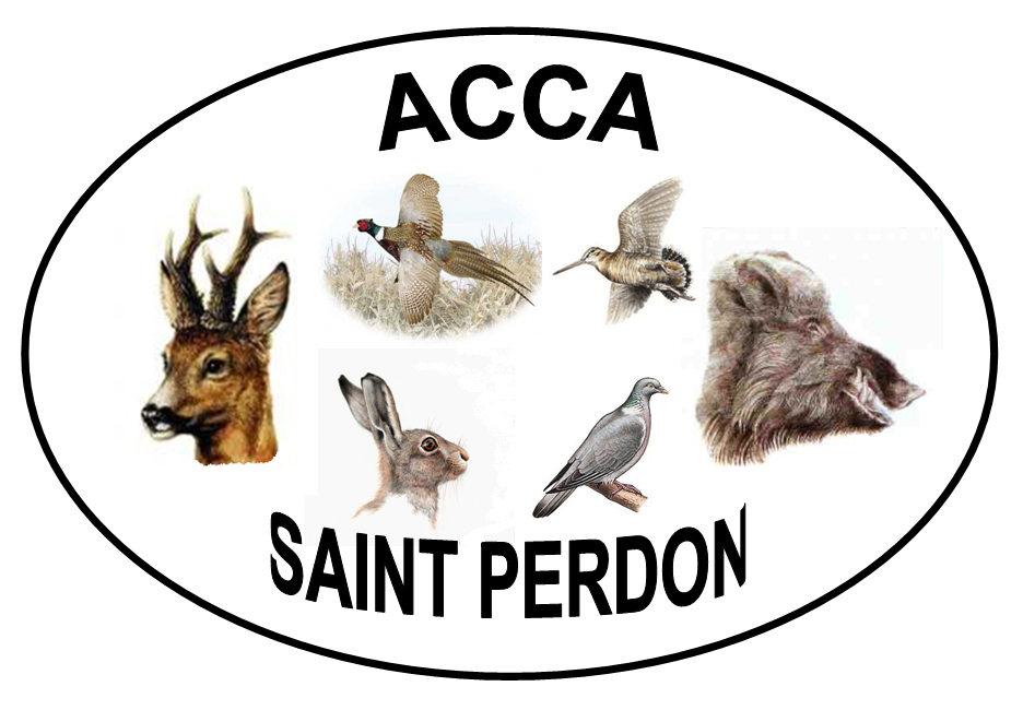 logo_acca.png